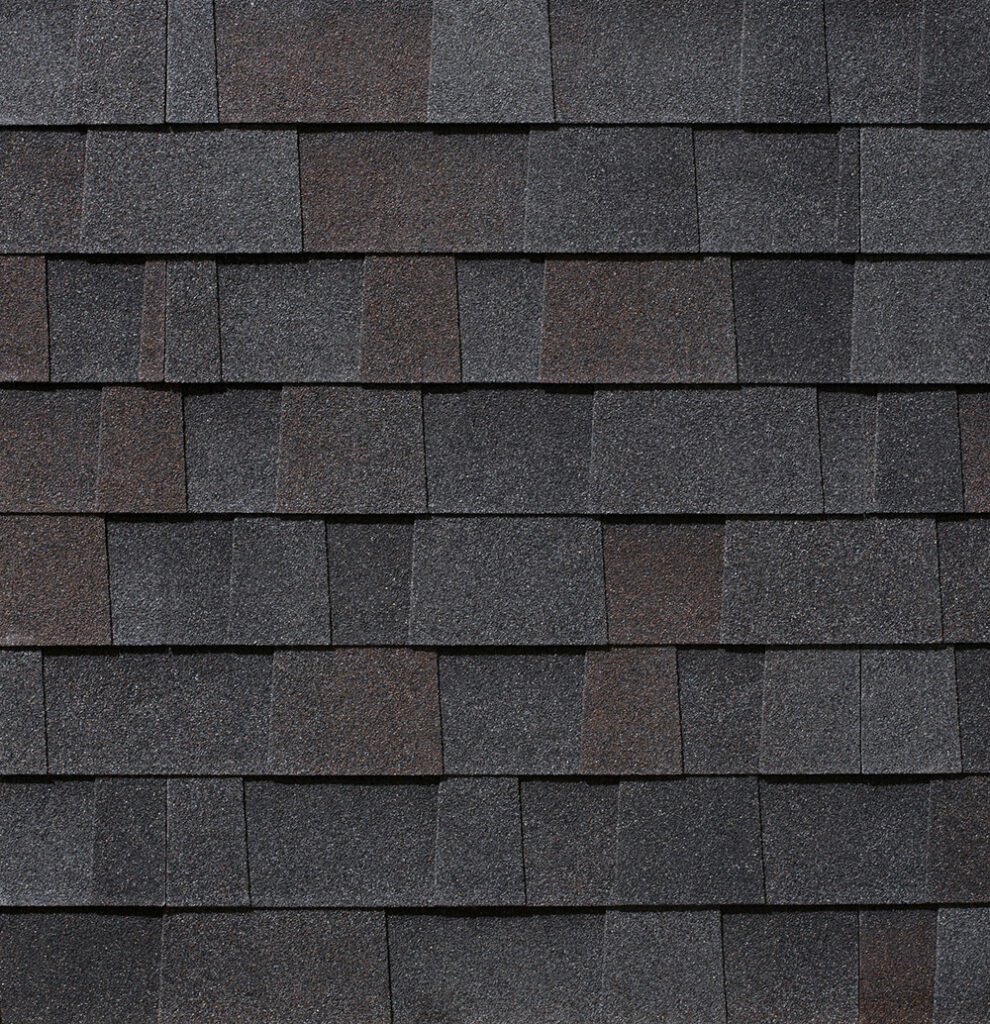 malarkey roofing products architectural black oak shingle color